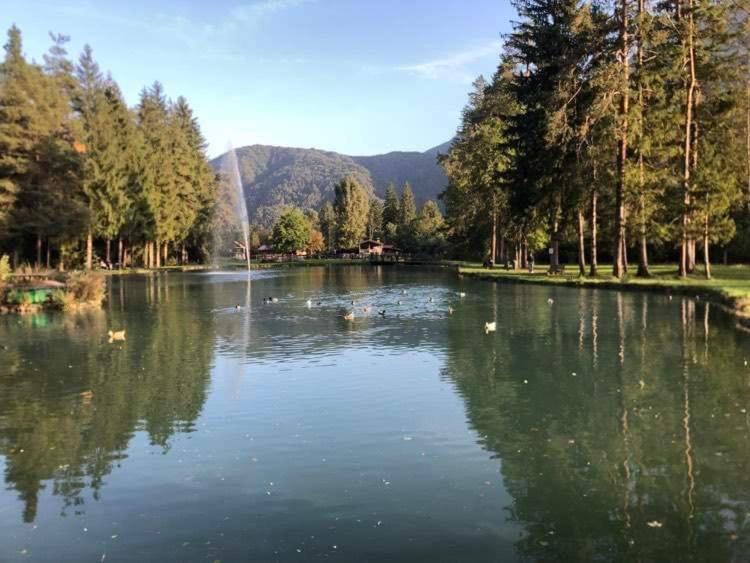 Holiday Guesthouse La Casina Di Butzi Pet Friendly - Terme Di Arta - Zoncolan Arta Terme Exterior photo